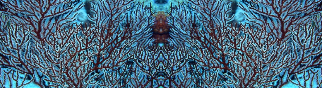 Wetfoot